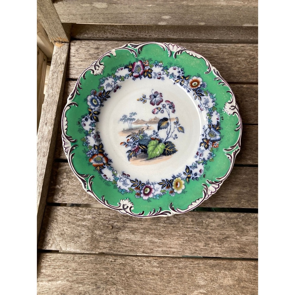 Flow Blue Polychrome Plate by Brownfield